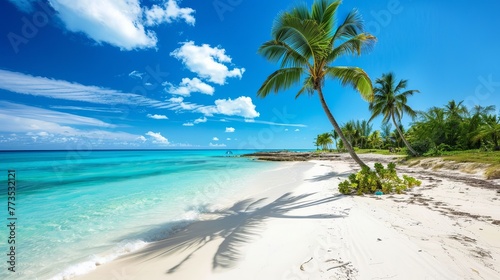Banana Bay Beach in Freeport, Grand Bahama, Bahamas, presents a scenic view of Caribbean beaches with white sand coastlines and deep blue seas photo