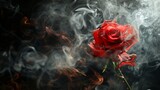 Beautiful Red rose wrapped in smoke swirl on black background 