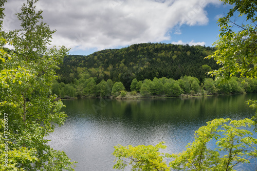 新緑の森と湖
 photo