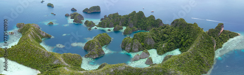 The limestone islands of Balbalol  fringed by reef  rise from Raja Ampat s tropical seascape. This region is known as the heart of the Coral Triangle due to the high marine biodiversity found there.