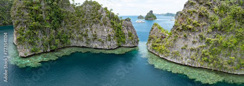 Fototapeta Naklejka Na Ścianę i Meble -  The limestone islands of Balbalol, fringed by reef, rise from Raja Ampat's tropical seascape. This region is known as the heart of the Coral Triangle due to the high marine biodiversity found there.