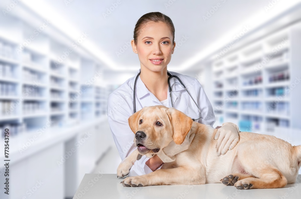 Veterinarian and happy young dog pet