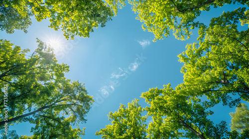 Clear blue sky and green trees seen from below. Earth Day or World Environment Day desktop backgrounds. Generative AI