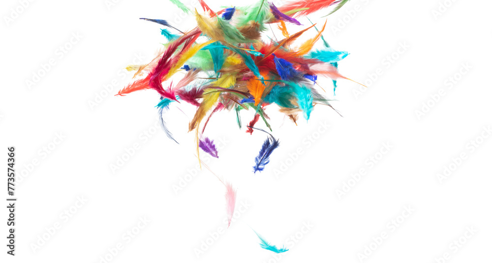 Fototapeta premium Many color Feather fly fall beautiful spiral pattern in air over black background isolated. Puffy Fluffy soft feathers like dream floating dove in sky. Colorful feathers are so light and delicate