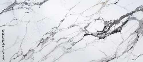 This stunning piece of marble features a classic combination of white and black tones with a detailed pattern, ideal for interior design projects