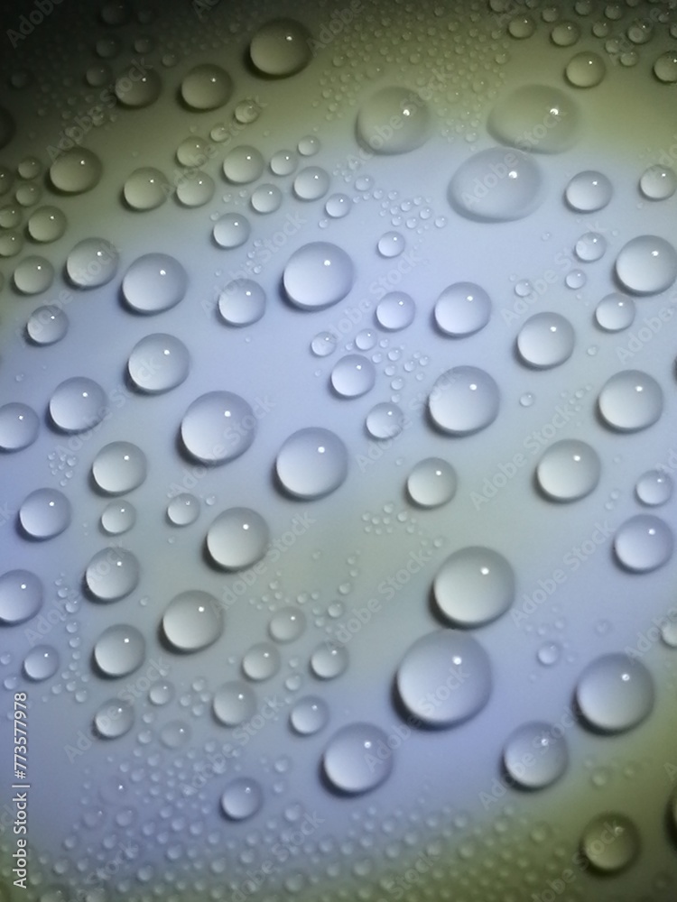 水玉 水玉