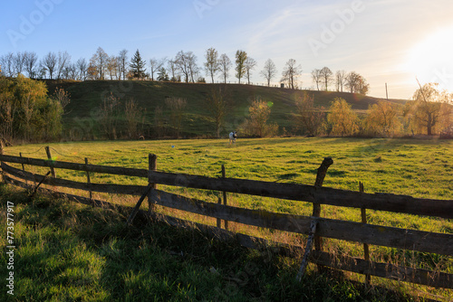 A fence separates a field from a road