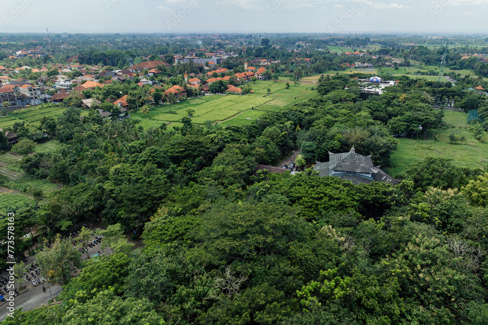 Aerial: The town of Ubud, Bali, Indonesia.