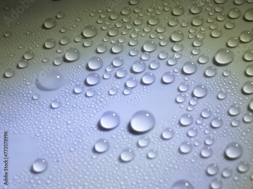 Wallpaper Mural 水玉 Torontodigital.ca