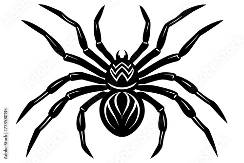 spider silhouette vector illustration