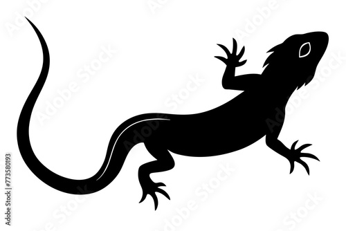 silhouette of a lizard