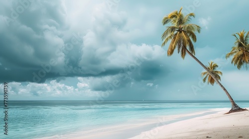 Palm trees and a moody sky complete a beautiful beach scene, perfect for a summer vacation or travel background, reminiscent of Maldives paradise