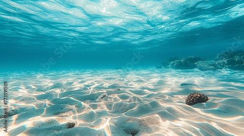The tropical blue ocean of Hawaii is showcased with white sand and underwater stones, creating a serene ocean background