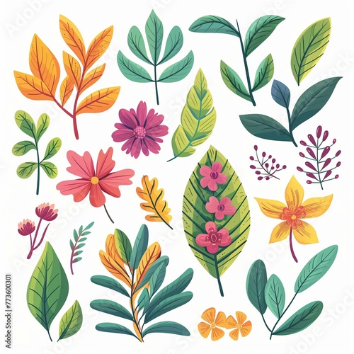 Tropical Floral Collection with Colorful Leaves and Flowers Illustration