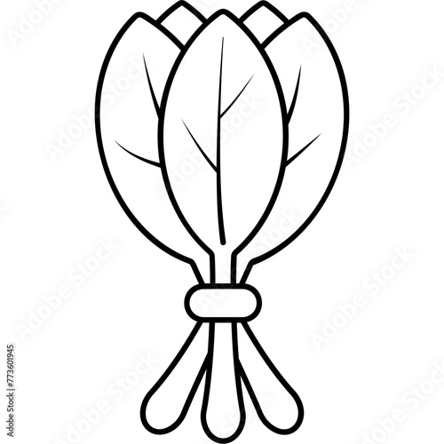 Spinach Icon