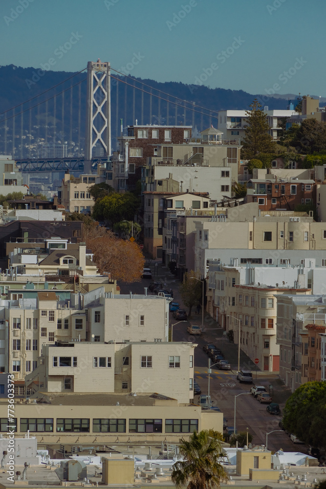 view of the san fran city view of the san fran city