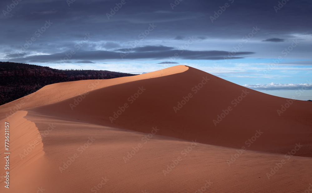 Sand Waves