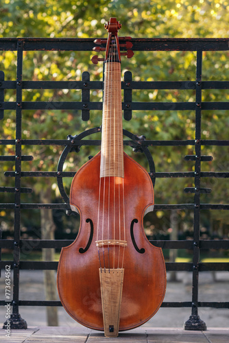 String instrument: cello.