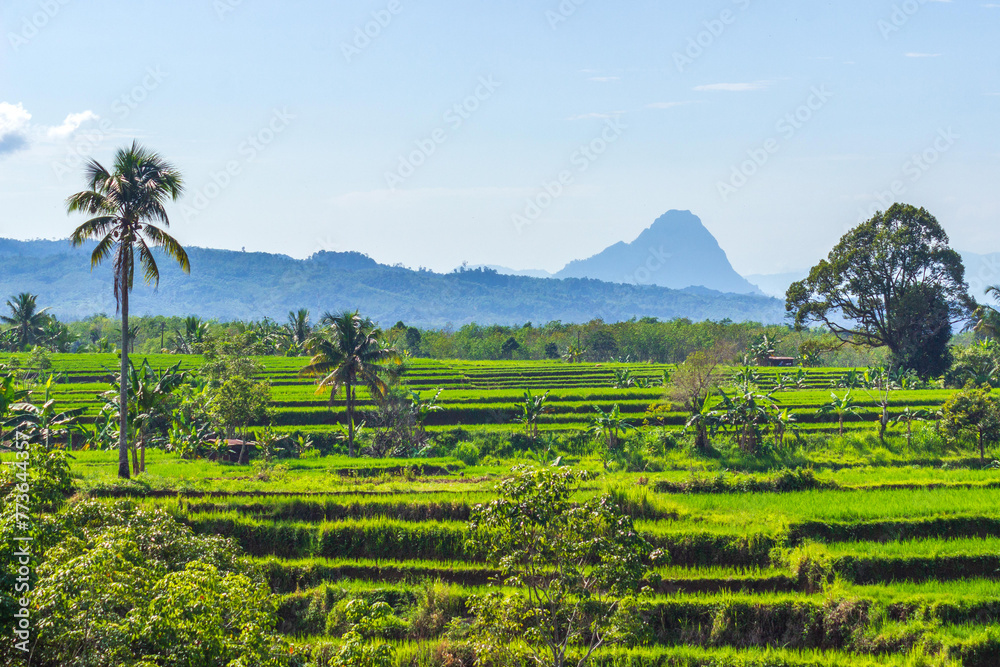 beautiful morning view from Indonesia of mountains and tropical forest