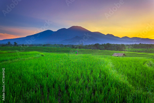 beautiful morning view from Indonesia of mountains and tropical forest © RahmadHimawan