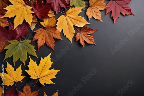 Autumn leaves with copy-space background concept  blank space. Place to adding text blank copy space. Harvest Hues  Autumn Leaves Copy-Space Scene