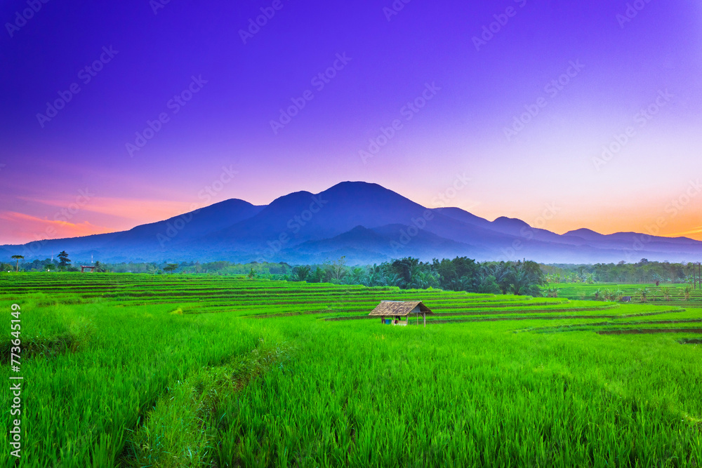 beautiful morning view from Indonesia of mountains and tropical forest