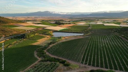 Aerial view of the Riebeek Valley in the Western Cape, South Africa. photo