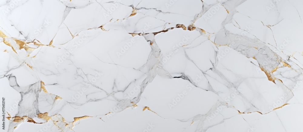 Elegant marble surface featuring intricate gold veining patterns on a pristine white backdrop, ideal for luxurious designs