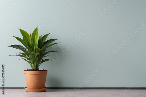Plant in pots with copy-space background concept, blank space. Potted Paradise: Bringing Nature Inside with Plants