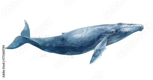 Blue Whale, the ocean's gentle giant, side view, immense and serene. 