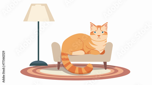 Domestic animals and pet with cat over a carpet and