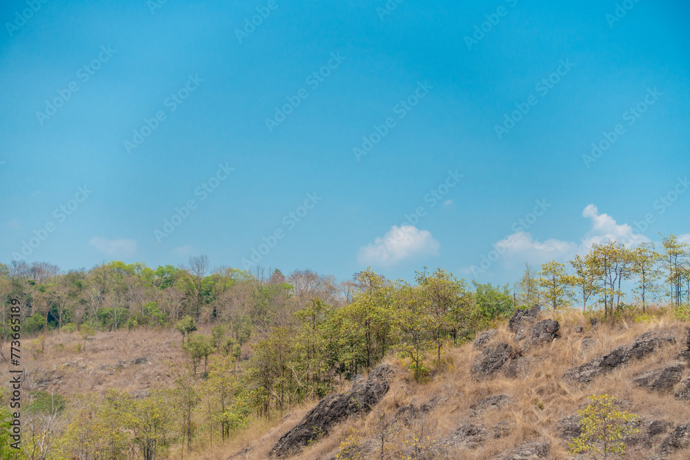 Panoramic view of clear blue sky and clouds, Blue sky background with tiny clouds. White fluffy clouds in the blue sky. Captivating stock photo featuring the mesmerizing beauty of the sky and clouds. Panoramic view of clear blue sky and clouds, Blue sky background with tiny clouds. White fluffy clouds in the blue sky. Captivating stock photo featuring the mesmerizing beauty of the sky and clouds.