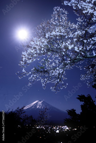 新倉山の夜桜