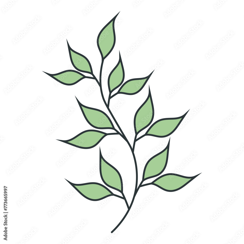 Hand Drawn Floral Botanical Branches. Isolated on White Background. Vector Illustration.
