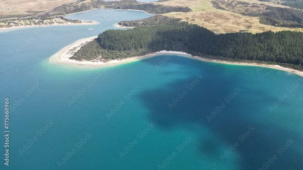 Fototapeta premium Pond