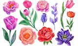 A collection of colorful flowers arranged together on a plain white background