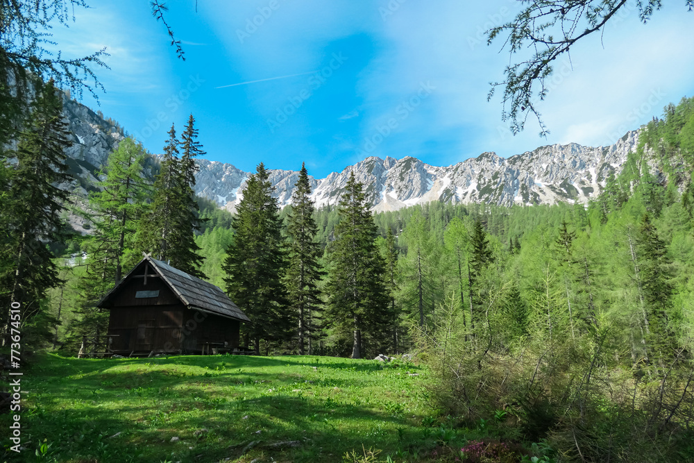 Remote alpine wooden cottage with scenic view of mountain peaks Feistritzer Spitze (Hochpetzen) and Kriznik, Karawanks, Carinthia, Austria. Wanderlust Austrian Alps. Hiking trail on Petzen, Bleiburg