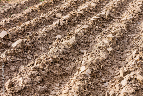brown plowed farmland field ready for sowing. agricultural background. closeup view.