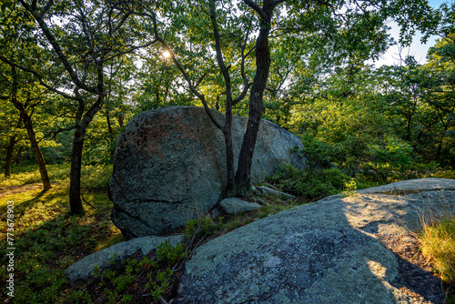 Hot Day on Bear Mountain