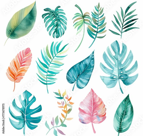 Various watercolor leaves displayed in a bunch on a clean white background