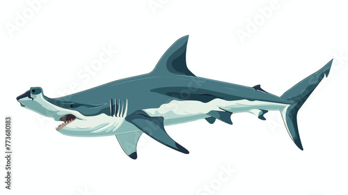 Hammerhead shark on white background illustration f