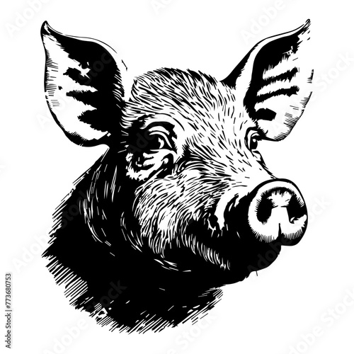 black and white illustration of a pig