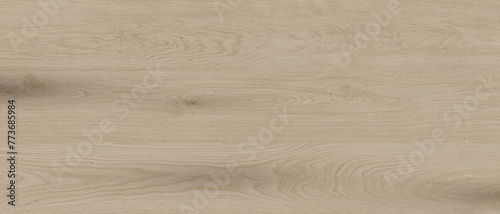white coastal oak color wood texture abstract background illustration, premium wood texture photo