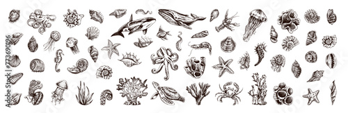 Hand-drawn undersea Animals, creatures set. Vector outline style illustration. Vintage sketch engraving illustration isolated on white background.