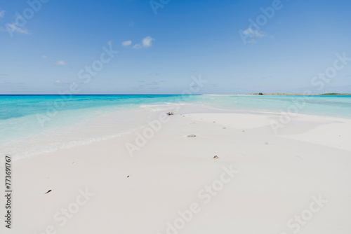 Paradise beach in the Caribbean Sea with crystal clear waters