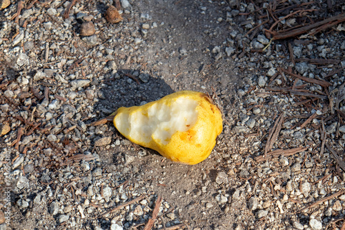 a bitten yellow pear lies on the ground