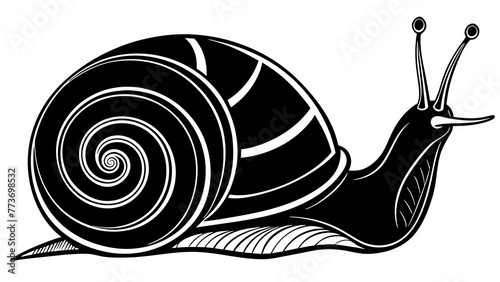 snail and svg file