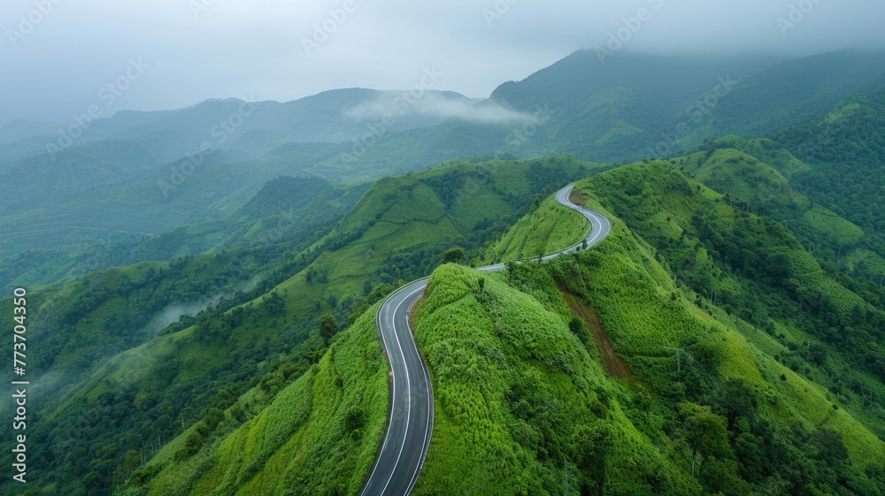 Fototapeta premium road on green rainforest with rain season,drone view. generative ai