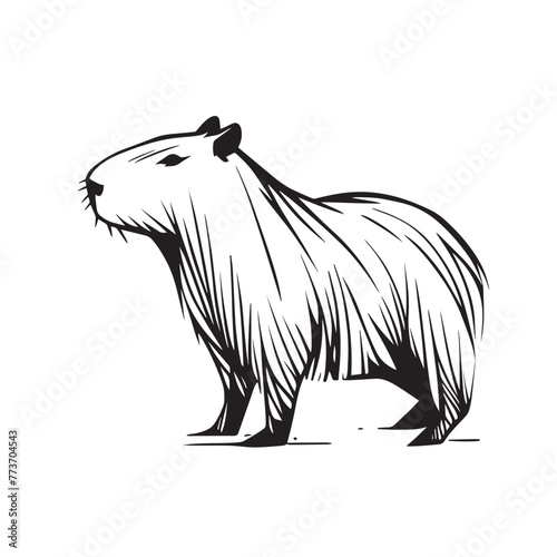 Adobe Illustrator ArtAmazonica capybara vectorized image, capybara logo for graphic design, capybara designs for prints and commercial publications, vectorized capybarawork