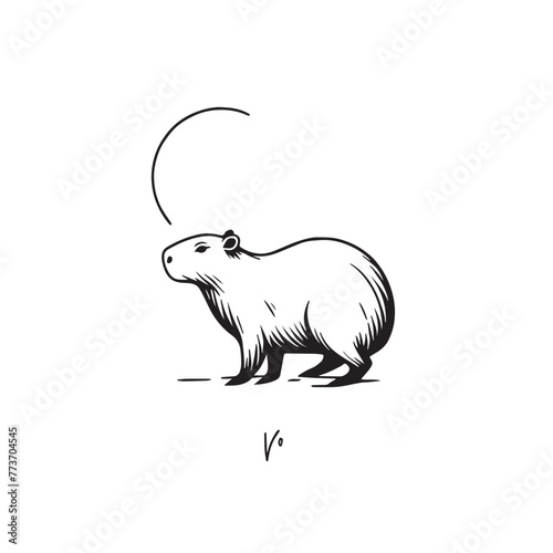 Adobe Illustrator ArtAmazonica capybara vectorized image, capybara logo for graphic design, capybara designs for prints and commercial publications, vectorized capybarawork